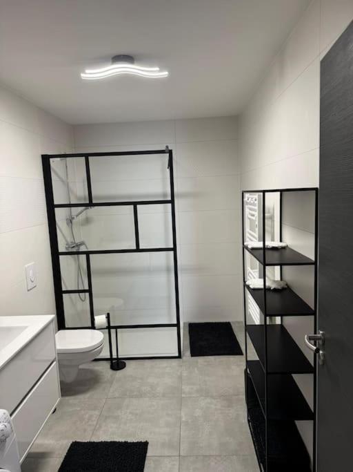 Appartement L'albertine Proche Colmar