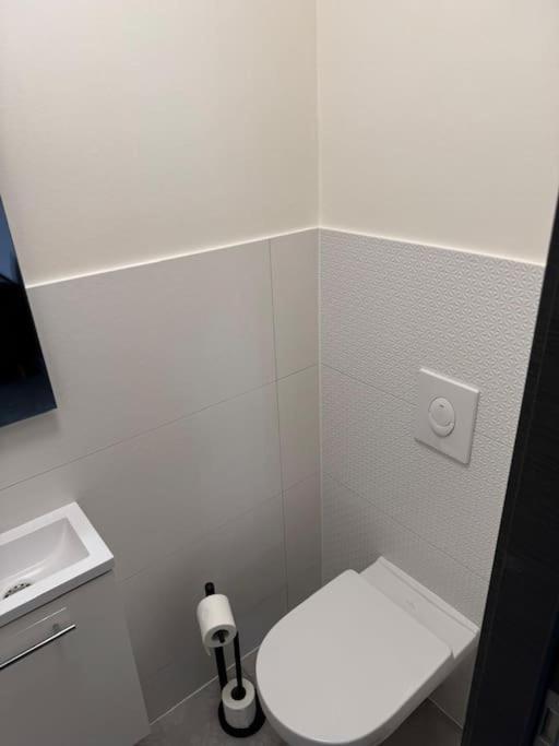 L'albertine Proche Colmar Appartement Sundhoffen